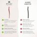 Mylily Eyebrow Razor Rose Gold | Women's Facial Razor & Dermaplaning Tool | Precision Eyebrow Knife for Flawless Skin - Buy Online on GoSupps.com