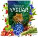 Yaguar Wild Berries 500 g | Yerba mat avec fraise et fraisier de bois | C est parfait pour les d butants | Forte teneur en caf ine | Th subtil yerba mat | Mat stimulant 0 5 kg