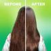 Garnier Fructis Sleek & Shine Anti-Frizz Serum 5.1 Fl Oz - 2 Count | Argan Oil | Frizzy Dry Hair | 3 Piece Set - Buy Online on GoSupps.com