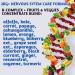 VITAMINERALS 2BG+ B Complex & Multi-Vitamin Immune Support (120ct) | High Potency Formula - Buy Online on GoSupps.com