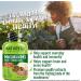 NATURELO Mushroom Supplement - Brain & Immune Health Blend with Lion's Mane, Reishi, Turkey Tail - 90 Vegan Capsules - Buy Online on GoSupps.com