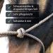 Knothalter for Floor Work - Optimal COB Halter for Training & Loading | Thoroughbred (Brown-Beige) - Buy Online on GoSupps.com
