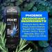 AXE Phoenix Crushed Mint & Rosemary Deodorant for Men 3oz (Pack of 4) | 48H Odor Protection | Aluminum-Free - Buy Online on GoSupps.com