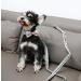 Shop Unique Style Paws Carded Dog Hales Band - Durable Cotton Dog Training Line for All Dog Sizes - Buy Online on GoSupps.com