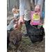 Farmers' Helper Cackleberry Nugget Treat 27 oz for Chickens, Turkeys, Peafowl, and More - Buy Online on GoSupps.com