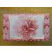 Pink Peony Handmade Florentine Soap | Luxurious Natural Fragrance | Shop Internationally - Buy Online on GoSupps.com