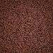 HONEYBERRY INCLUSIONS Cocoa Sugar Strands Sprinkles 200g - Premium Edible Vermicelli Chocolate Style Sprinkles for Baking Cupcake and Cake Decorations Ice Cream Dessert and Icing Decoration Toppers - Buy Online on GoSupps.com