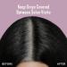 Madison Reed Root Perfection Black - 3N Corato | Permanent Root Touch Up - Buy Online on GoSupps.com