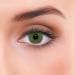 Buy Lenzotica Platinum Green Contact Lenses - Strongly Covering -4.25 Dioptria 3-Month Wear Includes Case | International Shipping Available - Buy Online on GoSupps.com
