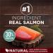 Purina ONE True Instinct High Protein Dry Dog Food Salmon & Tuna - 6.8 kg Bag 6.8 kg (Pack of 1) - Buy Online on GoSupps.com