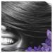 Buy SCENT-Sational Smooth Conditioner 200 ml | Nourishing Hair Care | International Shipping Available - Buy Online on GoSupps.com