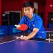 Champion Sports Table Tennis Set - 4 Player Bundle - Buy Online on GoSupps.com