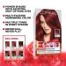 L'Oreal Paris Feria Crushed Garnet Hair Color 41 - Pack of 2 Permanent Hair Dye - Rich Mahogany Shade - Buy Online on GoSupps.com