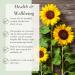 Organic Carrier Oils Set - Sweet Almond, Sunflower, Apricot Kernel - 3 x 100ml Glass Bottles | Absolute Aromas - Buy Online on GoSupps.com