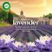 Airwick SCENTED OIL - Refill - 0+2 Vibrant Lavender & Waterlily Fragrance Infused with 2x more essential oil 2x20 mL Lavender 20 ml (Pack of 2) - Buy Online on GoSupps.com