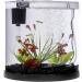 Tetra ColorFusion 3 Gallon Half-Moon Aquarium Kit with Bubbler & Color-Changing Light - Buy Online on GoSupps.com