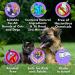 Arava Tear Stain Remover for Dogs & Cats - Natural & Effective Eye Cleaner - Buy Online on GoSupps.com