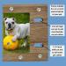 Sort it Rite Dog Memorial Picture Frame - Ideal Pet Memorial Gift for Dogs & Cats | Holds 4x6 Photo - Heartfelt Quote | Loss of Dog Gift (Natural) Beige - Buy Online on GoSupps.com