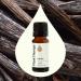 Plant Therapy Vanilla Extract 10 mL (1/3 oz) 100% Pure Undiluted Therapeutic Grade - Buy Online on GoSupps.com