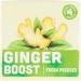 VIVE ORGANIC Ginger Boost Shot 4pk - Organic Energy & Wellness Shots for Immune Support | International Shipping - Buy Online on GoSupps.com