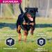 Eukanuba Dog Dry Food Rottweiler Chicken 12kg - Buy Online on GoSupps.com
