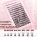 Goddvenus Lash Clusters Kit | Wispy Lash Extensions & Waterproof DIY Eyelashes | 192 Natural Individual Clusters with Glue & Tweezers - Buy Online on GoSupps.com
