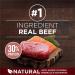 Purina ONE True Instinct High Protein Dry Dog Food Beef & Salmon - 1.72 kg Bag 1.72 kg (Pack of 1) Dry Dog Food - Buy Online on GoSupps.com