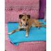 Waterproof Jumbo Blanket 80x60 - Purple/Blue, UltraSoft, Leakproof Bed & Furniture Protector for Adults and Pets - EZ Wash/Dry Reversible Design - Buy Online on GoSupps.com
