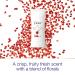 Dove Advanced Care Antiperspirant Deodorant Stick for Women Revive - 48hr Protection, 2.6 oz (2 Pack) - Buy Online on GoSupps.com