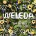 Weleda Sport Arnica Shower Gel 6.8 fl oz - Plant Rich Cleanser with Arnica, Rosemary & Lavender - Buy Online on GoSupps.com