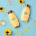 Aveeno Sunflower 7-oil Blend Shampoo 354 ml. - Buy Online on GoSupps.com