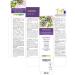 Passionflower (Passiflora incarnata) Mother Tincture 200ml | Alcohol-Free Liquid Extract Drops by Naturalma | Vegan Food Supplement - Buy Online on GoSupps.com