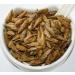 White Poplar Buds Tea | Populus Alba L | Bourgeons de Peuplier Blanc Tisane | Health Embassy (50g) - Buy Online on GoSupps.com