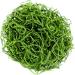 SuperMoss 26912 Preserved Spanish Moss 8oz - Natural Grass for Crafts and Decor - Buy Online on GoSupps.com