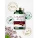 Black Cherry Extract Concentrate 2800mg | 240 Capsules | Non-GMO & Gluten Free | Prunus Serotina Supplement - Buy Online on GoSupps.com