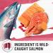 Beyond Grain Free Natural Dry Cat Food Indoor Cat Wild-Caught Salmon & Egg - 2.26 kg Bag 2.26 kg (Pack of 1) - Buy Online on GoSupps.com