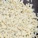 Thai Kitchen Coconut Rice 8.8 oz - Authentic Thai Coconut Rice, 8.8 Ounce Pack - Buy Online on GoSupps.com