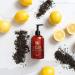 Soapbox Meyer Lemon & Tea Leaves Liquid Hand Soap - 12oz Pump Bottles (Pack of 3) | Gentle & Moisturizing Vegan Cruelty-Free Cleanser for Bathroom and Kitchen - Buy Online on GoSupps.com