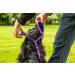 Gencon Combo - Headcollar (Right-handed Large Black) and Clip Lead Large Black - Buy Online on GoSupps.com