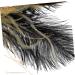 Bridal Hair Accessories Decor Headbands Hair Ties Hair Bands Plume Headband Women Costume Headwear Flapper Headpiece Headdress for Cosplay Sequins Bride Cloth The Photo - Buy Online on GoSupps.com