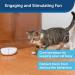 PetSafe Laser Tail Automatic Laser Light Interactive Playtime For Cats Moving Cat Toy White - Buy Online on GoSupps.com