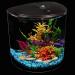 AquaView 3.5-Gallon Aquarium Starter Kit with Power Filter & LED Lighting - Ideal for Various Fish - 7 Color Selections - Buy Online on GoSupps.com