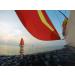 GoPro Suction Cup Mount - Official Black | Best Price & Fast Shipping - Buy Online on GoSupps.com