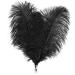 Soarer Black Ostrich Feathers Bulk - 30pcs 8-10 inches for Wedding Party Centerpieces  Home Decorations and DIY Crafts(Black) Black 8-10inch