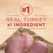 Purina ONE Senior Wet Dog Food Healthy Aging 7+ Turkey & Barley Entree - 368 g Can - Buy Online on GoSupps.com