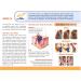 ALO Pain Relief Cream Therapy (4 oz) | Arthritis, Back Pain, Sciatica Relief | Plantar Fasciitis, Tennis Elbow, Sore Muscles | Inflammation Relief | Acute and Chronic Pain | 4 Fl Oz (Pack of 1) - Buy Online on GoSupps.com