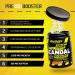 My Supps Scandal Pre Workout Booster 420g - Green Apple Pump Powder with Caffeine Citrulline & Creatine - High-Dose Fitness Booster Made in Germany - Buy Online on GoSupps.com