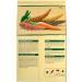 Vitastropic Sittich Pearl Budgie Feed - Premium High-Quality Seeds & Sun-Ripened Grains - Enriched with Herbs - 2-Pack (500g Each) - Buy Online on GoSupps.com