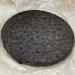 Pu-erh tea 2011 Xiaguan Good start 357g Raw - Buy Online on GoSupps.com