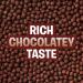 Cocoa Puffs Chocolate Breakfast Cereal - Whole Grains 18.1 oz | Delicious & Nutritious - Buy Online on GoSupps.com